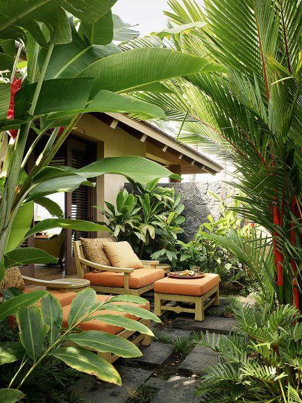 Mẫu thiết kế sân vườn phong cách nhiệt đới
